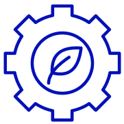 <br> Standardization